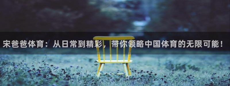 鲸鱼体育直播在线观看高清：宋爸爸体育：从日常到精彩，带你领略中国体育的无限可能！