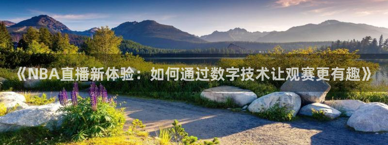 足球鲸鱼直播：《NBA直播新体验：如何通过数字技术让观赛更有趣》
