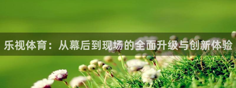 鲸鱼体育.：乐视体育：从幕后到现场的全面升级与创新体验
