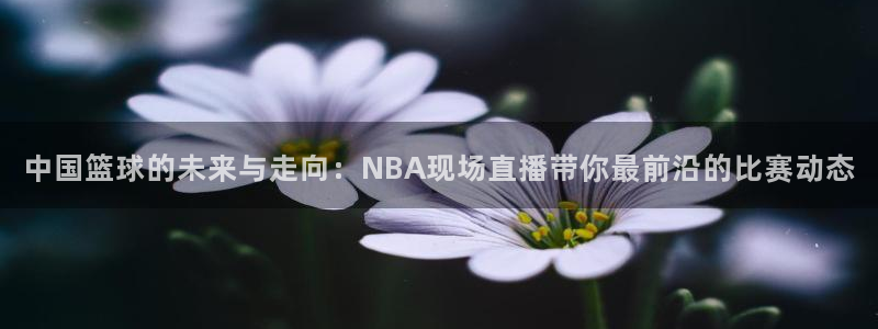 鲸鱼直播体育：中国篮球的未来与走向：NBA现场直播带你最前沿的比赛动态