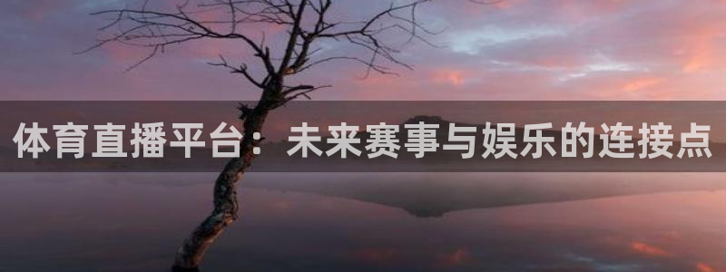 鲸鱼体育免费观看入口：体育直播平台：未来赛事与娱乐的连接点