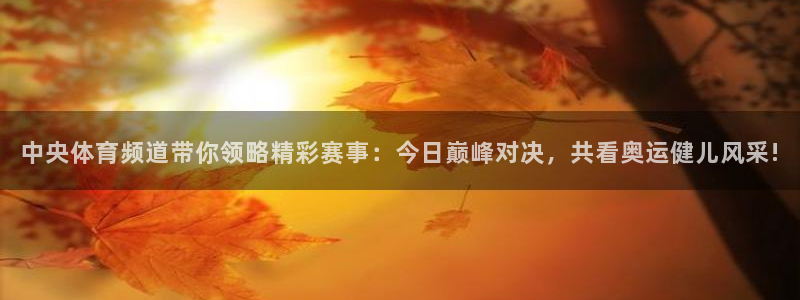 鲸鱼体育tv版下载：中央体育频道带你领略精彩赛事：今日巅峰对决，共看奥运健儿风采!