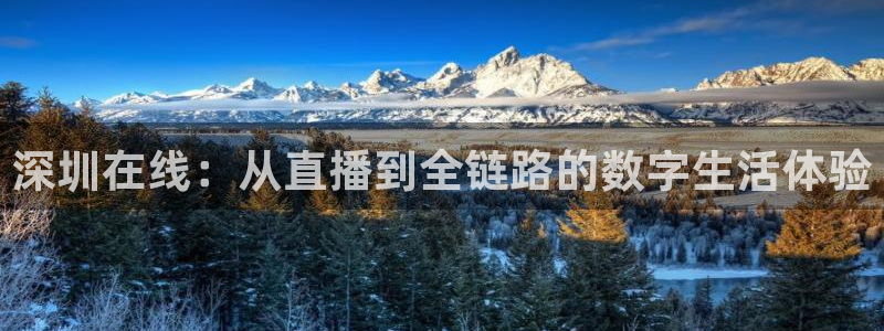 鲸鱼直播体育：深圳在线：从直播到全链路的数字生活体验
